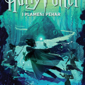 Harry Potter i Plameni pehar