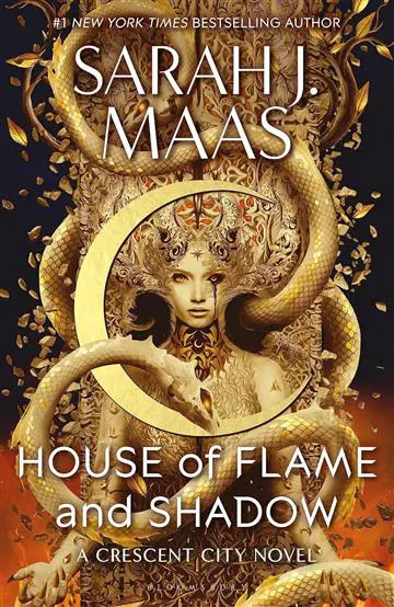 house of flame and shadow