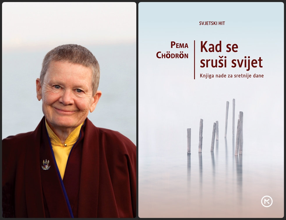 pema chodron by andrea roth horz
