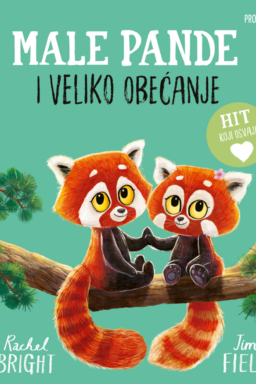 Male pande i veliko obećanje (kartonska slikovnica)