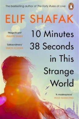 10 Minutes 38 Seconds in this Strange World