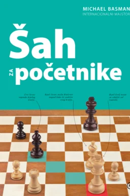 Šah za početnike